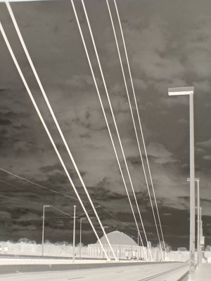 IMG_20250324_084749703.jpg IMG_20250324_084749703.jpg