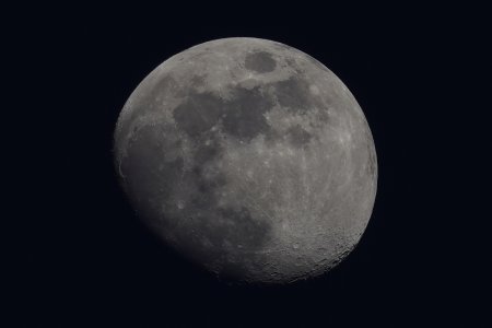 Mond 10.03.25_DSC5498Topaz-sharpen-crop.jpeg