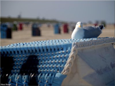 BILD 7.jpg BILD 7.jpg