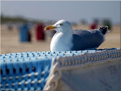 BILD 9.jpg BILD 9.jpg