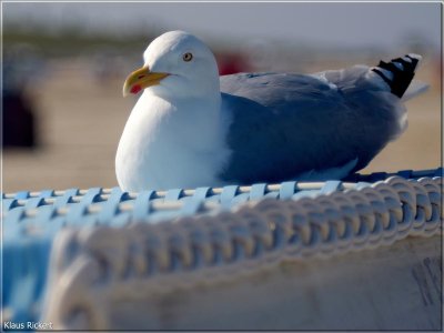 BILD 12.jpg BILD 12.jpg