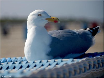 BILD 14.jpg BILD 14.jpg