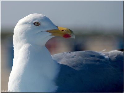 BILD 15.jpg BILD 15.jpg