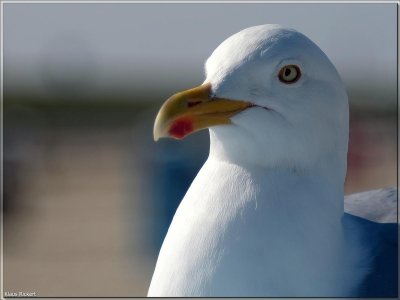 BILD 17.jpg BILD 17.jpg