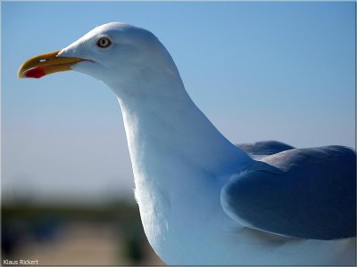 BILD 18.jpg BILD 18.jpg