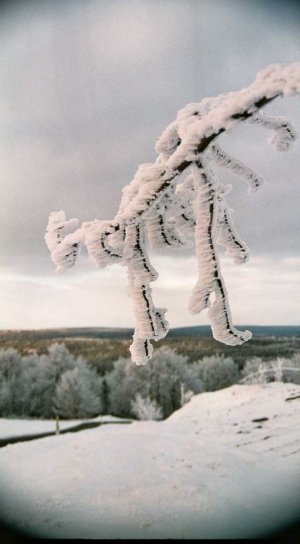 012_13.jpg 012_13.jpg