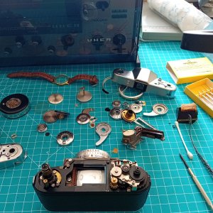 20250414_095228.jpg 20250414_095228.jpg