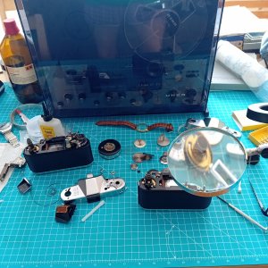 20250414_094951.jpg 20250414_094951.jpg