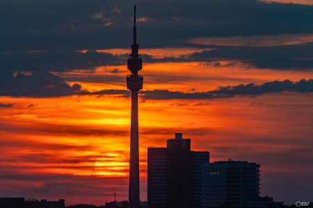 EH0A2659.jpg EH0A2659.jpg