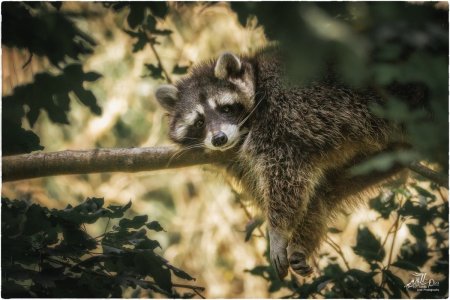 comp_Bad Mergentheim_0089-Bearbeitet.jpg