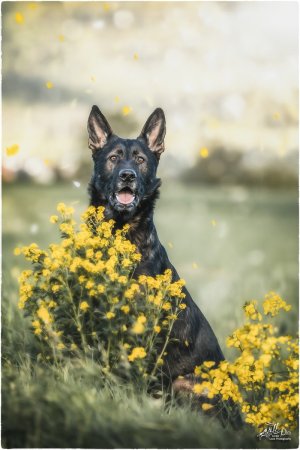 comp_Finn_z_Tymakova_Mai24_0011-Bearbeitet Kopie.jpg