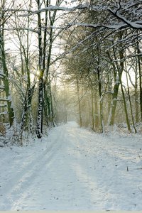 sonnne-DSC0627.jpg sonnne-DSC0627.jpg