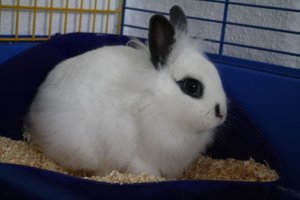 IMG_3146 [50%] [50%].JPG