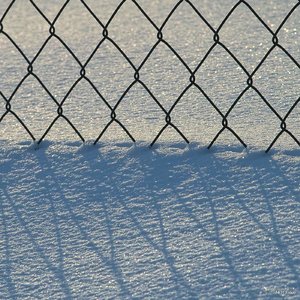 SDIM8224_Jupiter-11.jpg SDIM8224_Jupiter-11.jpg