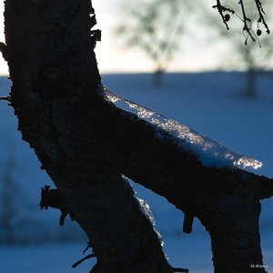 SDIM8232_Jupiter-11.jpg SDIM8232_Jupiter-11.jpg