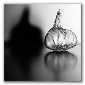 comp_SDIM1287_s1 Kopie_s1_hf.jpg