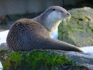 DSCF2946-1000.jpg DSCF2946-1000.jpg