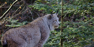 DSCF2910.jpg DSCF2910.jpg