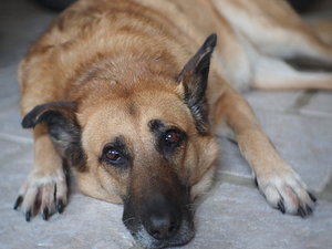 2011 01 09_5860Blende17.JPG