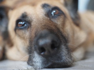 2011 01 09_5870Blende17.JPG