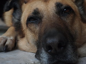 2011 01 09_5875_blende56.JPG