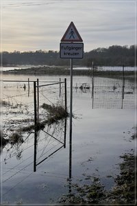 Hochwasser-SD10 - IMG09897.jpg