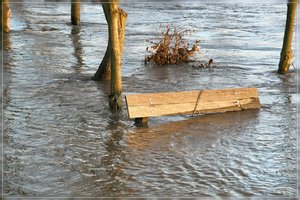 Hochwasser-SD15 - SDIM2380.jpg