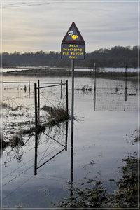 Hochwasser-SD10---IMG09897.jpg