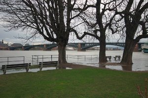 comp_SDIM1740_s1 Kopie.jpg