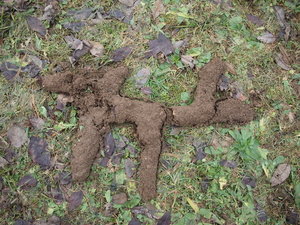 mauswege2_Bildgröße ändern.JPG mauswege2_Bildgröße ändern.JPG