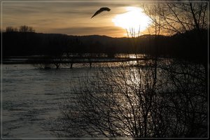 Sonnenuntergang-SD15 - SDIM2377.jpg