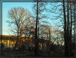 comp_2plbl vágva.jpg