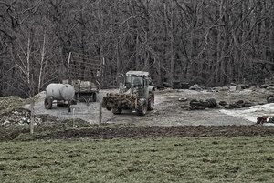 17 01 2011 IMG04474hbw(c) PPf.jpg