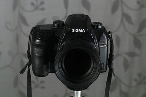 comp_SDIM1853_s1 Kopie.jpg