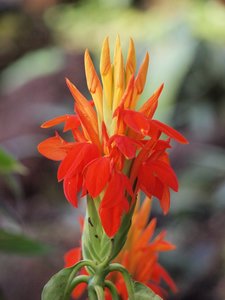 comp_20110117_125 (2).jpg