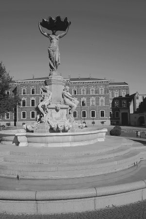 2025-05-09  GÖRLITZ  MUSCHELMINNA.jpg