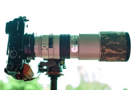 2025-05-28  X-50R  MIT  CANON 300_DSF0026.jpg