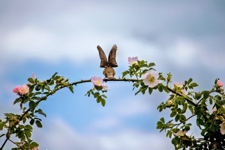 _1500IMG_0187 (2)-Edit.jpg