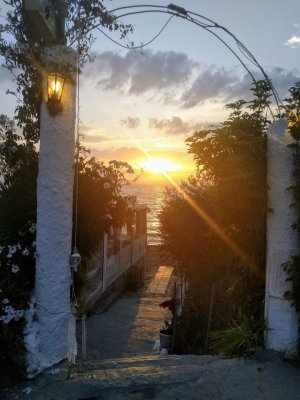 IMG_20250525_202004.jpg IMG_20250525_202004.jpg