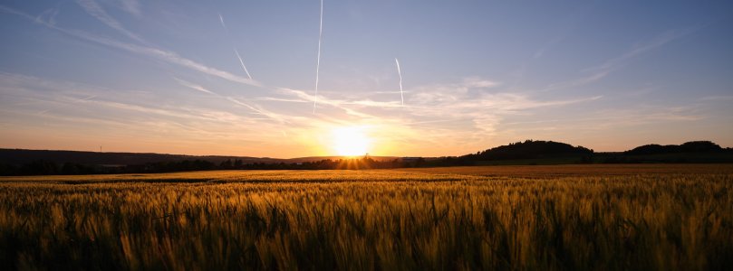 G5RD2608.jpg G5RD2608.jpg