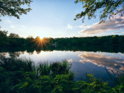 G5RD6008.jpg G5RD6008.jpg