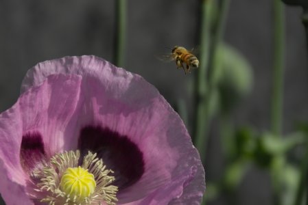 IMG00611.jpg IMG00611.jpg