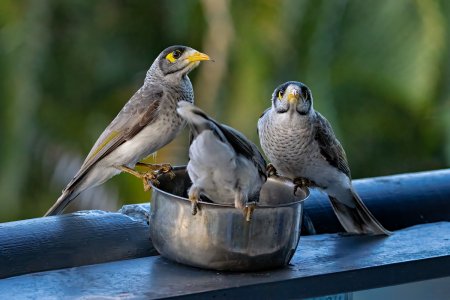 _1500A1_05963-Edit.jpg _1500A1_05963-Edit.jpg