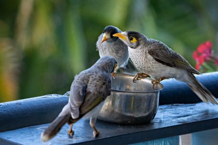 _1500A1_05908-Edit-Edit.jpg _1500A1_05908-Edit-Edit.jpg