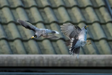 _1500A1_05875-Edit.jpg _1500A1_05875-Edit.jpg