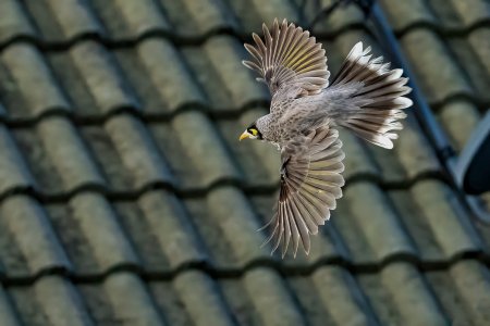 _1500A1_05880-Edit.jpg _1500A1_05880-Edit.jpg