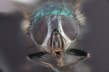 01-org.jpg 01-org.jpg