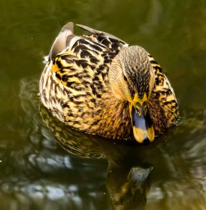 20250205_124225_1 (1).jpg