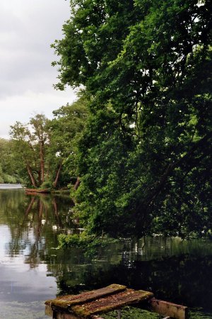 imm027_36.jpg imm027_36.jpg