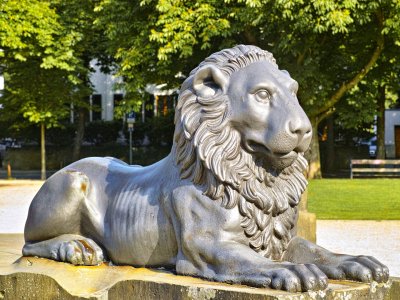 2025-06-17  BRAUNSCHWEIG  DP3M_P3M3121.jpg